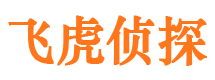 依兰市侦探调查公司